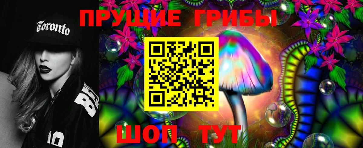 Галлюциногенные грибы Psilocybine cubensis  закладки  Сызрань  Галлюциногенные грибы Magic Shrooms  Вход с VPN 